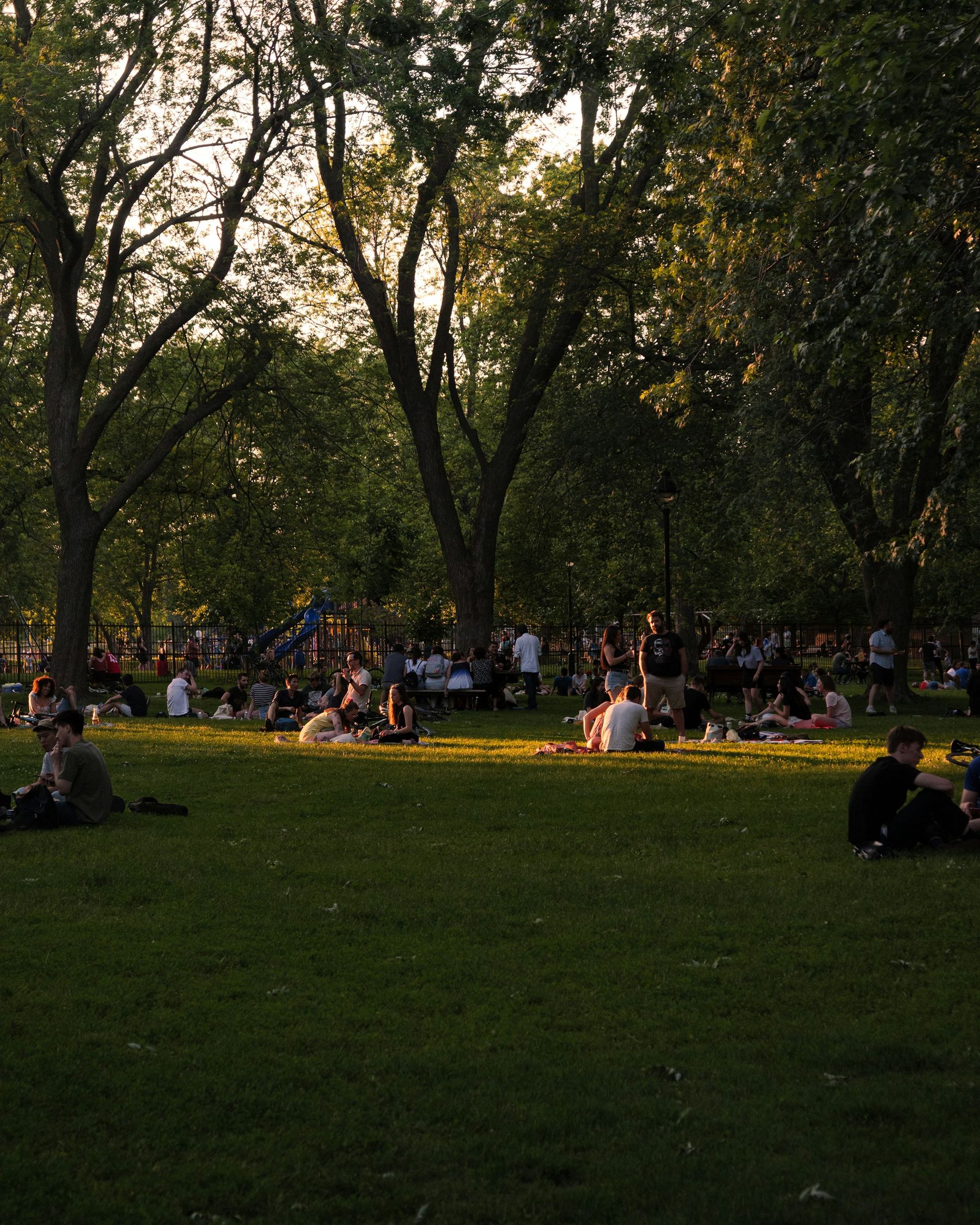 Le parc à la fin d’une journée d’été : des groupes assis dans l’herbe sous les grands arbres